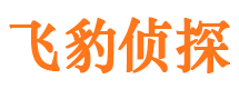 九台市侦探调查公司